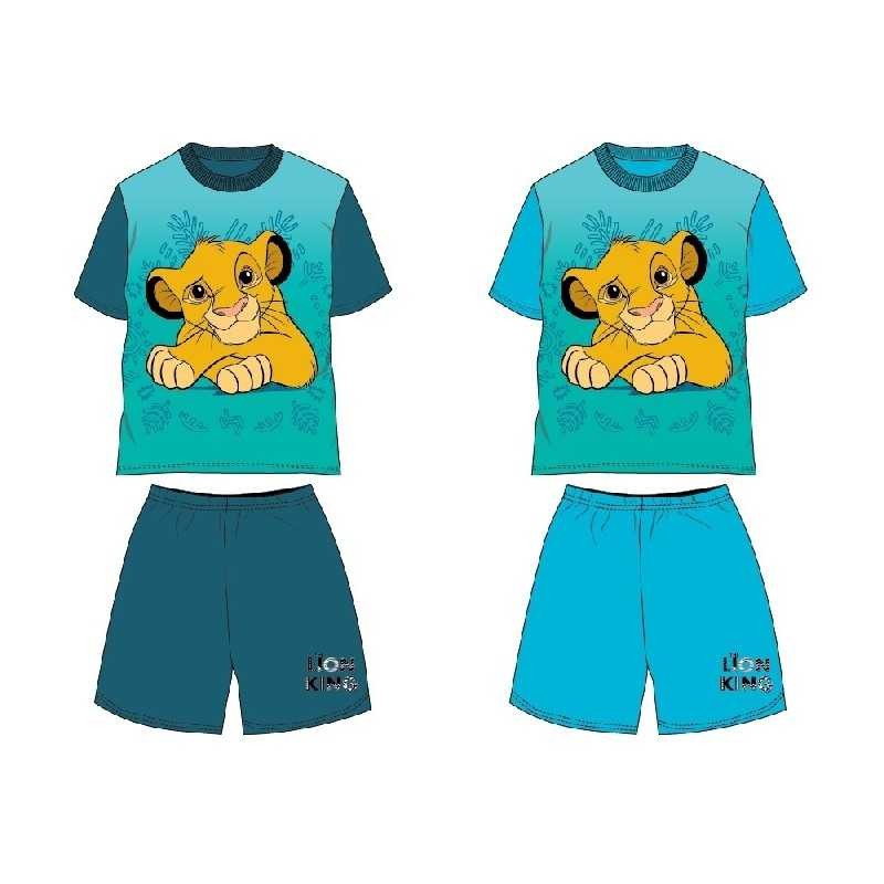 Conjunto de verão Lion King