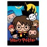 Manta polar Harry Potter