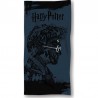 Toalha de praia Harry Potter Glasses