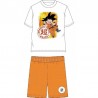 Conjunto verão Dragon Ball