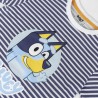 Conjunto de verão Bluey