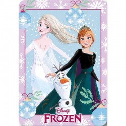 Manta polar Frozen